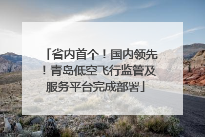 省内首个！国内领先！青岛低空飞行监管及服务平台完成部署