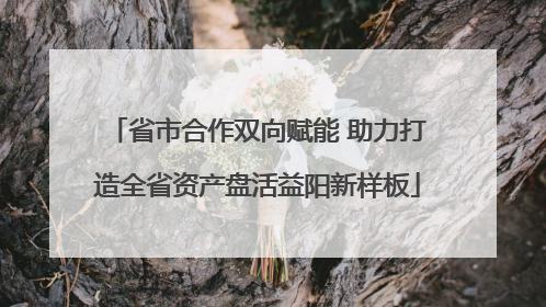 省市合作双向赋能 助力打造全省资产盘活益阳新样板