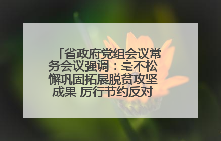 省政府党组会议常务会议强调：毫不松懈巩固拓展脱贫攻坚成果 厉行节约反对浪费弘扬优良作风