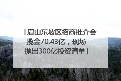 眉山东坡区招商推介会揽金70.43亿，现场抛出300亿投资清单