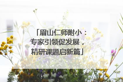 眉山仁师附小：专家引领促发展，精研课题启新篇