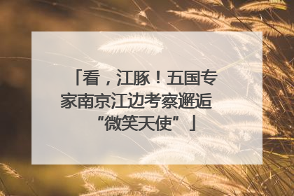 看，江豚！五国专家南京江边考察邂逅“微笑天使”