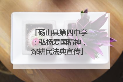 砀山县第四中学：弘扬爱国精神，深耕民法典宣传