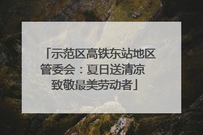 示范区高铁东站地区管委会：夏日送清凉 致敬最美劳动者
