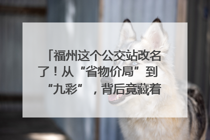 福州这个公交站改名了！从“省物价局”到“九彩”，背后竟藏着这么多故事！