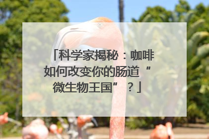 科学家揭秘：咖啡如何改变你的肠道“微生物王国”？