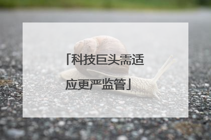 科技巨头需适应更严监管