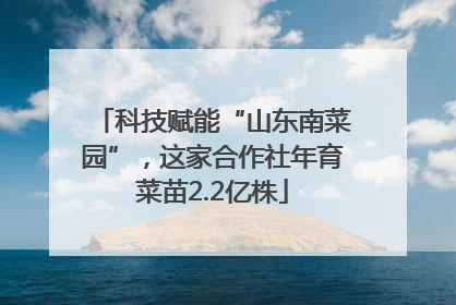科技赋能“山东南菜园”，这家合作社年育菜苗2.2亿株