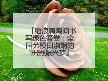 稻浪鸭鸣间书写绿色答卷：全国劳模田淑娴的田野振兴梦