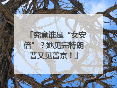 究竟谁是“女安倍”？她见完特朗普又见普京！