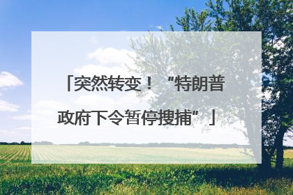 突然转变！“特朗普政府下令暂停搜捕”