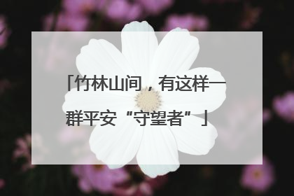 竹林山间，有这样一群平安“守望者”