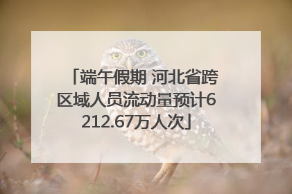 端午假期 河北省跨区域人员流动量预计6212.67万人次