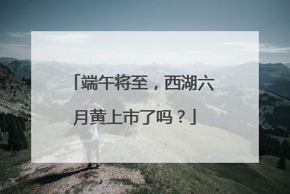 端午将至，西湖六月黄上市了吗？