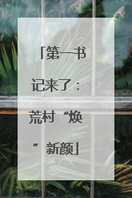 第一书记来了：荒村“焕”新颜