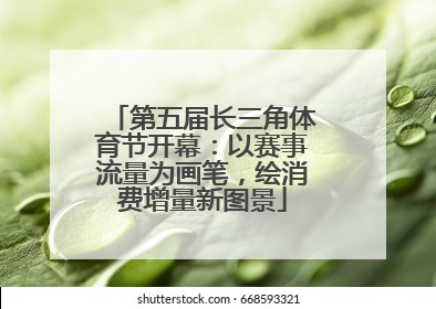 第五届长三角体育节开幕：以赛事流量为画笔，绘消费增量新图景