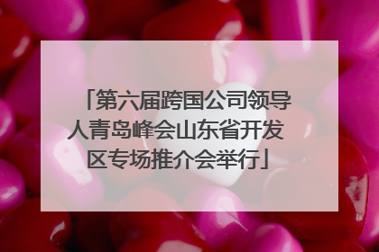 第六届跨国公司领导人青岛峰会山东省开发区专场推介会举行