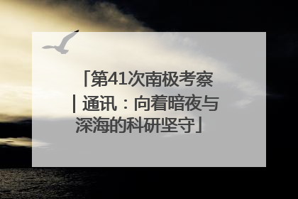 第41次南极考察｜通讯：向着暗夜与深海的科研坚守