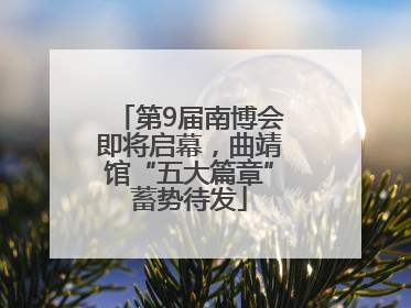 第9届南博会即将启幕，曲靖馆“五大篇章”蓄势待发