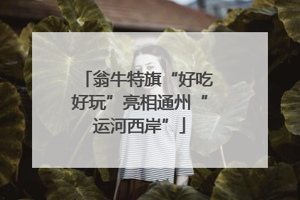 翁牛特旗“好吃好玩”亮相通州“运河西岸”