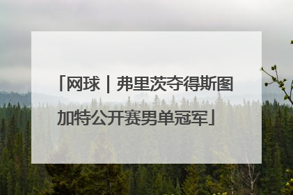 网球｜弗里茨夺得斯图加特公开赛男单冠军