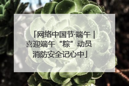 网络中国节·端午｜喜迎端午“粽”动员 消防安全记心中