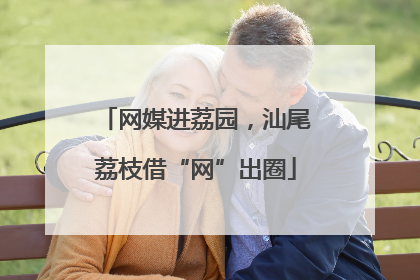 网媒进荔园，汕尾荔枝借“网”出圈