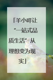 羊小咩让“一站式品质生活”从理想变为现实
