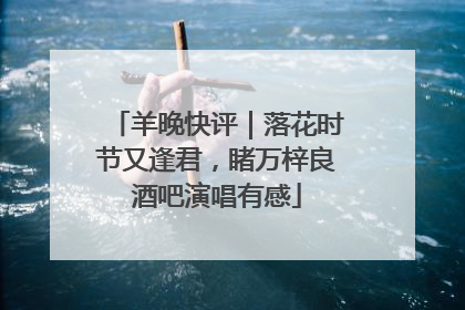 羊晚快评｜落花时节又逢君，睹万梓良酒吧演唱有感