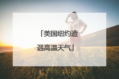 美国纽约遭遇高温天气