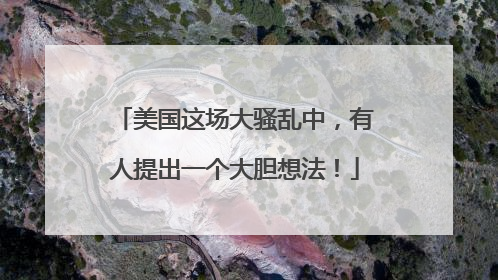 美国这场大骚乱中，有人提出一个大胆想法！