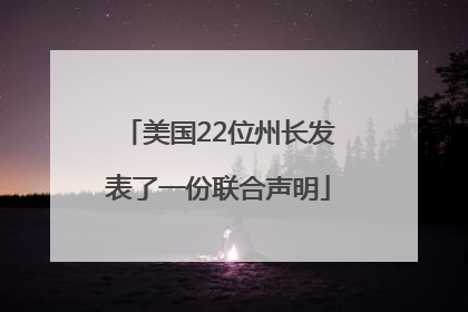 美国22位州长发表了一份联合声明
