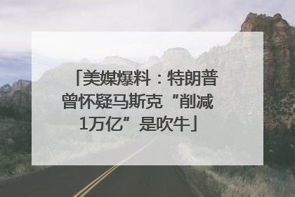 美媒爆料：特朗普曾怀疑马斯克“削减1万亿”是吹牛