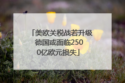 美欧关税战若升级 德国或面临2500亿欧元损失