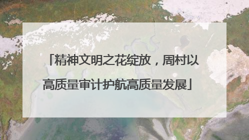 精神文明之花绽放，周村以高质量审计护航高质量发展