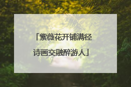 紫薇花开铺满径 诗画交融醉游人