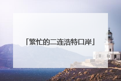 繁忙的二连浩特口岸