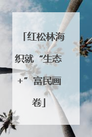 红松林海织就“生态+”富民画卷