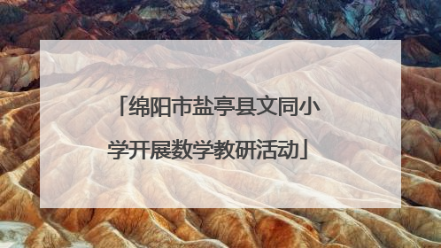 绵阳市盐亭县文同小学开展数学教研活动