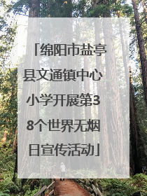 绵阳市盐亭县文通镇中心小学开展第38个世界无烟日宣传活动