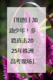 组图丨加油少年！多路直击2025年株洲高考现场
