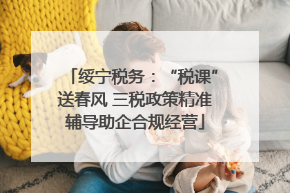 绥宁税务：“税课”送春风 三税政策精准辅导助企合规经营