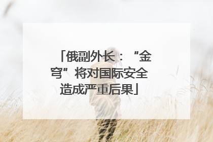 俄副外长：“金穹”将对国际安全造成严重后果