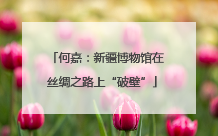 何嘉：新疆博物馆在丝绸之路上“破壁”