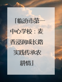 临汾市第一中心学校：麦香浸润成长路 实践传承农耕情