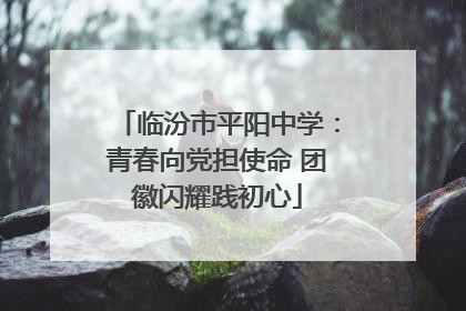 临汾市平阳中学：青春向党担使命 团徽闪耀践初心