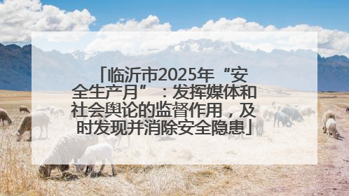 临沂市2025年“安全生产月”：发挥媒体和社会舆论的监督作用，及时发现并消除安全隐患