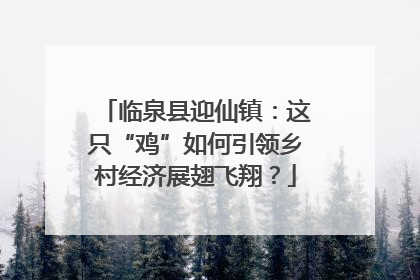 临泉县迎仙镇：这只“鸡”如何引领乡村经济展翅飞翔？