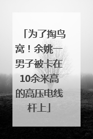 为了掏鸟窝！余姚一男子被卡在10余米高的高压电线杆上