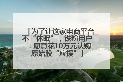 为了让这家电商平台不“休眠”，铁粉用户：愿意花10万元认购原始股“应援”